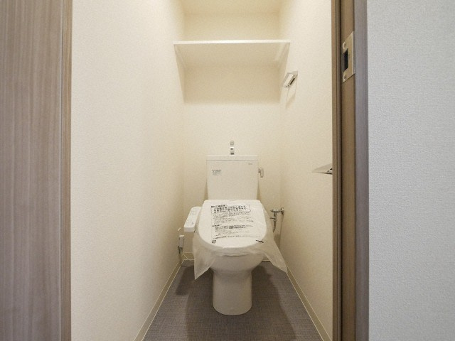 プレサンス谷町九丁目ディセオのトイレ