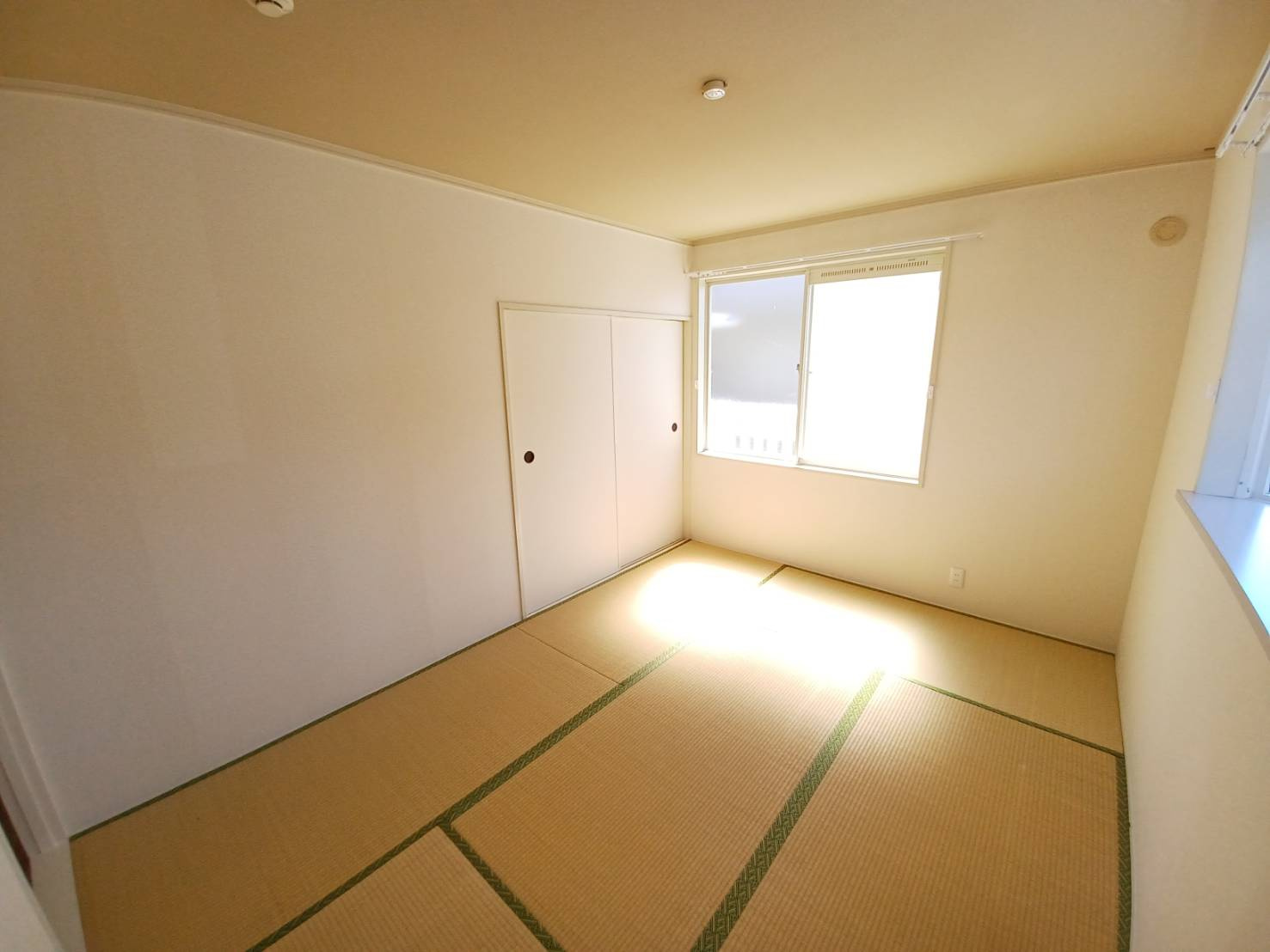 中央ハイツB棟の和室