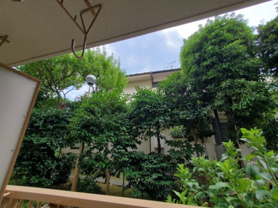【展望】 | ドーム吉祥寺
