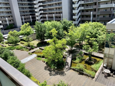 【展望】 | サウスオールシティフロントウィング