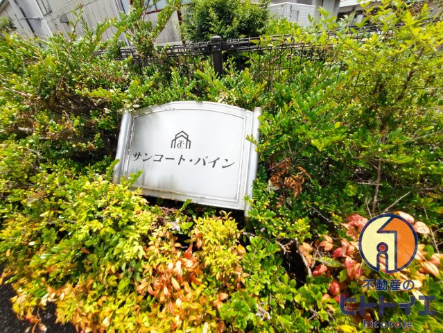 サンコート・パインの庭
