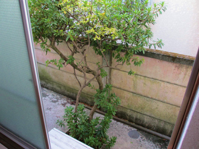 【展望】 | ハイム神田