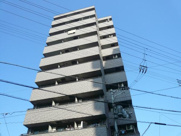 メゾンコーエイの画像