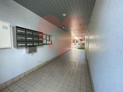  | グリーンハイム諏訪の森