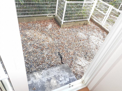 【庭】 | メゾン・ド・コリーヌ