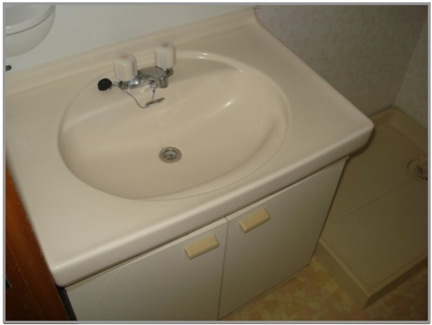 プレミールMの洗面所