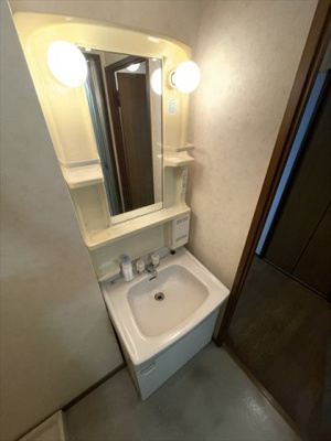 【独立洗面台】 | メゾン・ド・カメリア | 月額管理料無料！賃貸管理はアブレイズパートナーズにお任せを！