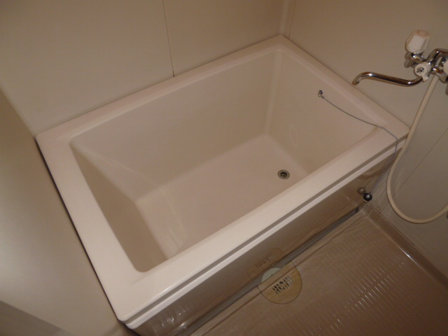 ニューシティ大平の浴室