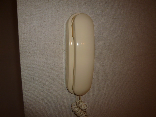 ニューシティ大平のセキュリティ|インターホン