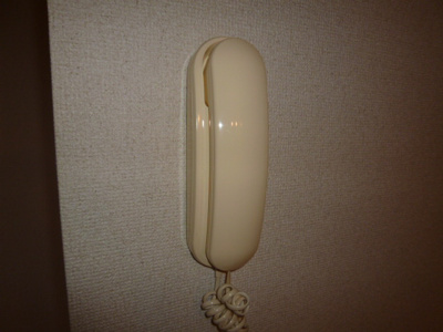 【セキュリティ】 | ニューシティ大平 | インターホン