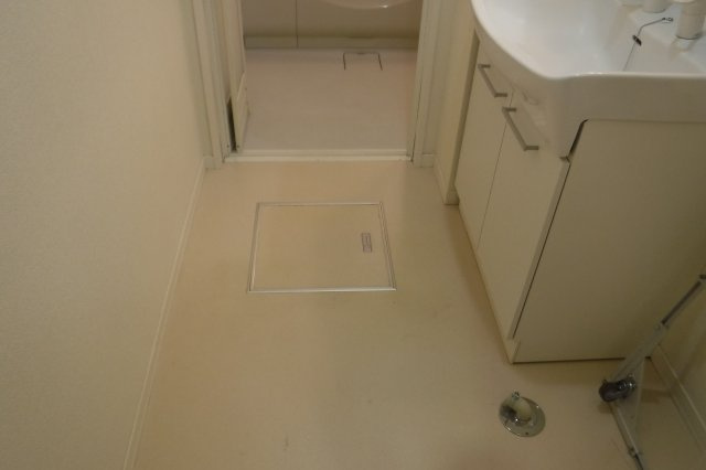 アーク元住吉の洗面所
