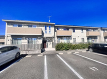 ミント Aの画像