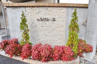 【その他】 | セリシール