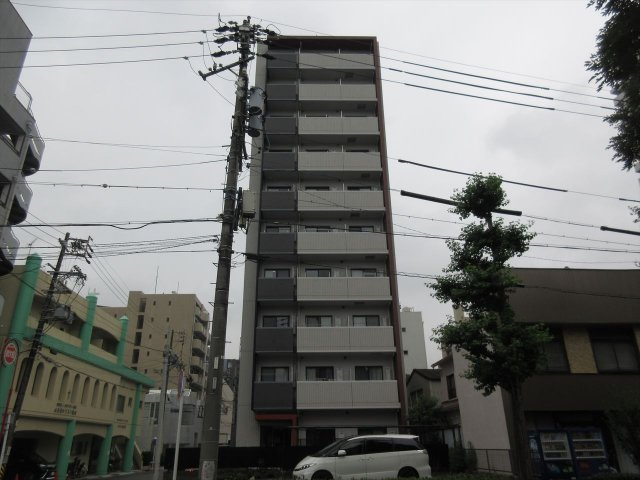 YZ kimabuli(ワイズキマブリ）