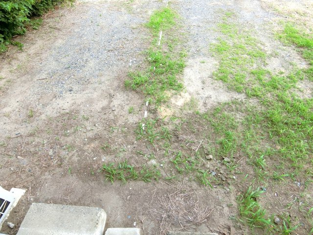 菱沼ハイリビングの庭