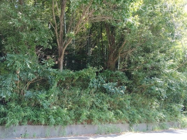 【外観】 | 姫路市町田／売土地