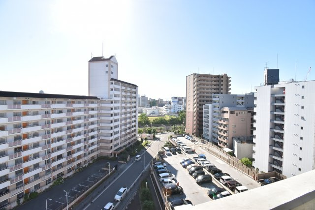 Wolf Pack Apartmentの展望