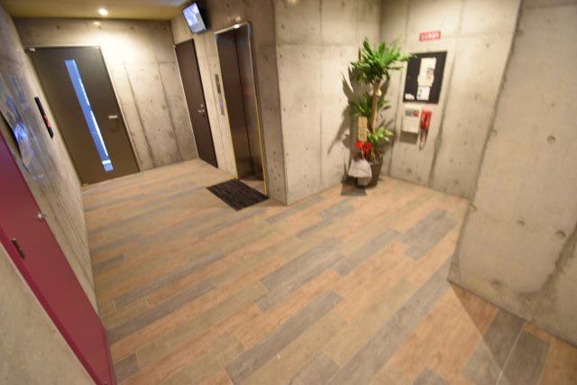 Wolf Pack Apartment