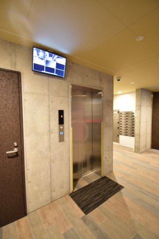 Wolf Pack Apartment