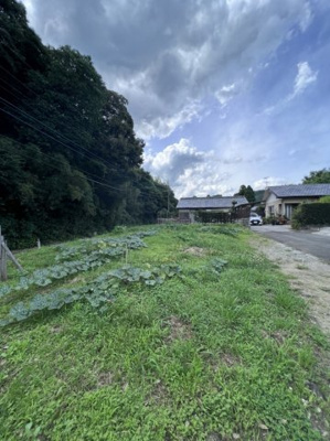【外観】 | 綾町　入野　売地 | 外観です