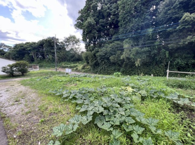 【外観】 | 綾町　入野　売地 | 外はこのようになっています