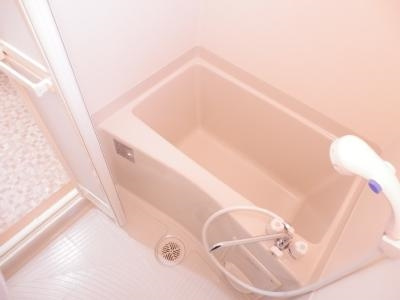 アルカスNEXT御池（旧：ドーリアNEXT御池）の浴室