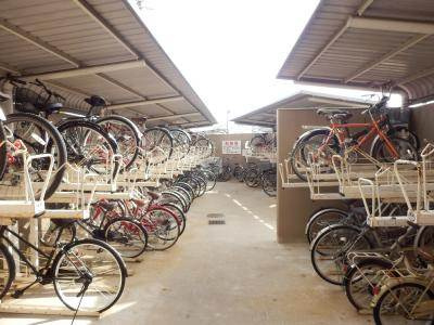 エルカーサーのその他