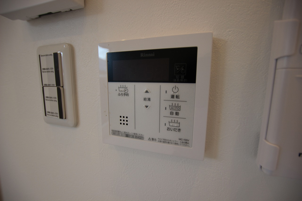 エルサチのその他