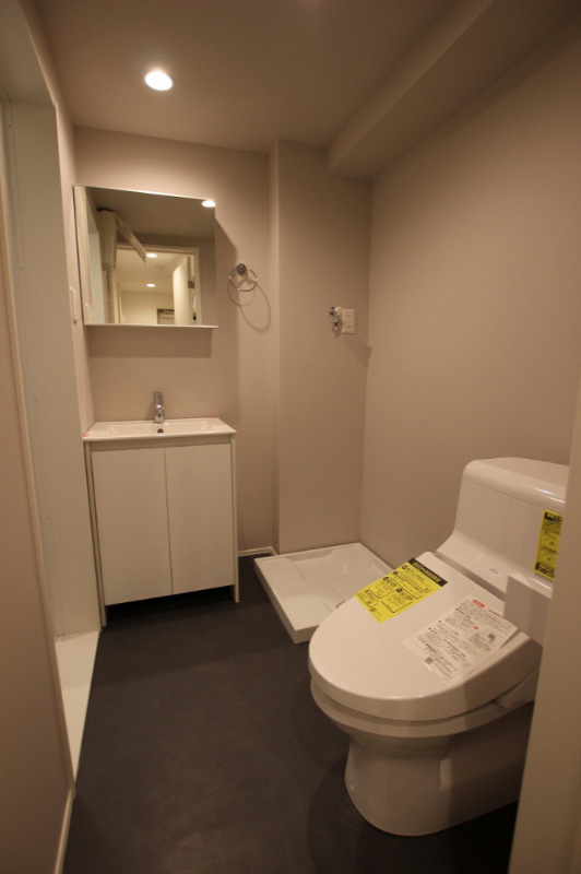 エルサチの洗面所