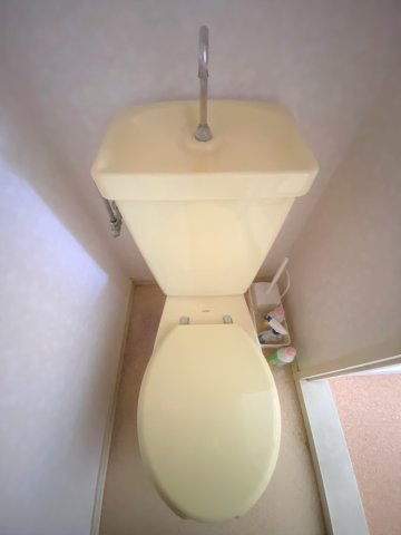 レピュート豊国のトイレ