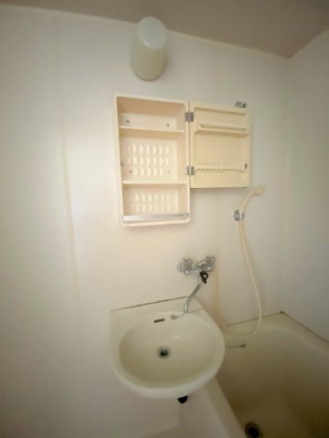 レピュート豊国の洗面所