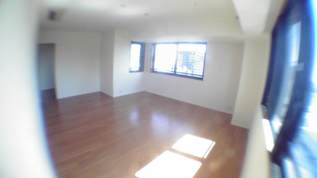 千代田区麹町３丁目の賃貸マンションのその他|リビング