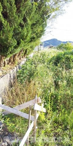 ５９０８１　山県市西深瀬土地の周辺