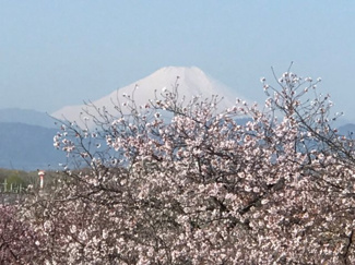 【その他共用部分】 | 天気のいい日は富士山が望めます