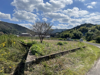 【前面道路含む現地写真】 | 樋脇町市比野宇都前土地
