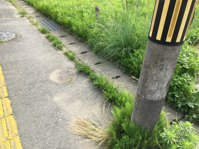 錦町上中田　売土地のその他