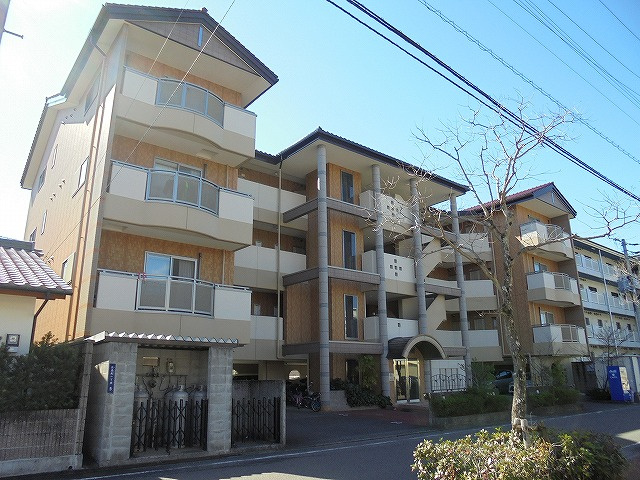 楽住庵の周辺|外はこのようになっています