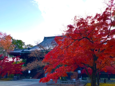 【周辺】 | 浄土寺真如町　中古戸建☆2022年リノベーション済☆ | 真如堂まで徒歩６分