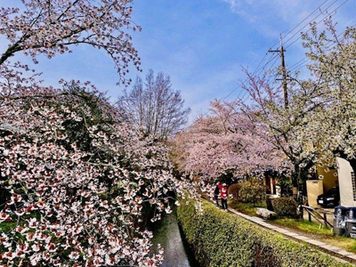 【周辺】 | 浄土寺真如町　中古戸建☆2022年リノベーション済☆ | 哲学の道まで徒歩５分