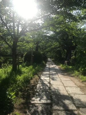 【周辺】 | 浄土寺真如町　中古戸建☆2022年リノベーション済☆ | 哲学の道まで徒歩５分