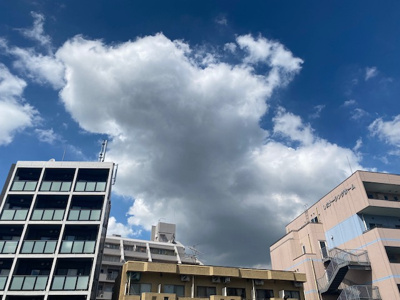 【その他】 | ビバリーホームズ柿の木坂