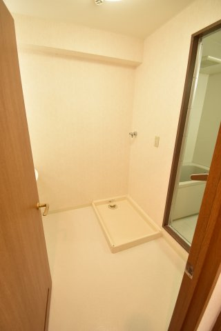 パレス金ヶ原の洗面所