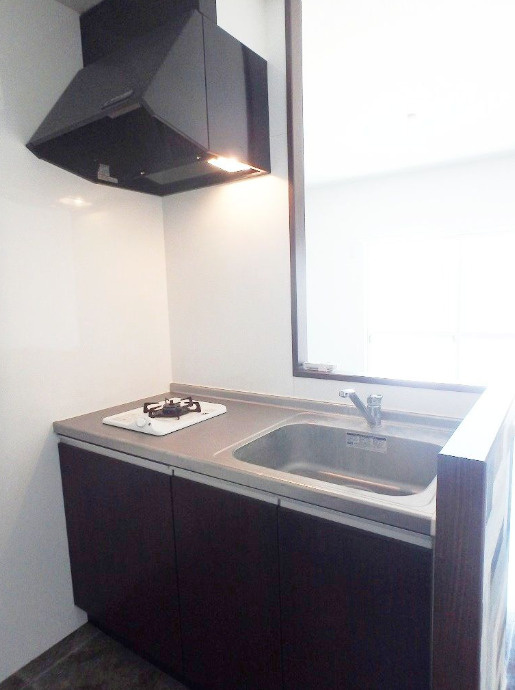 リノ・パラッツォ【１０，０００円キャッシュバック対象物件】のキッチン|使いやすいキッチンです