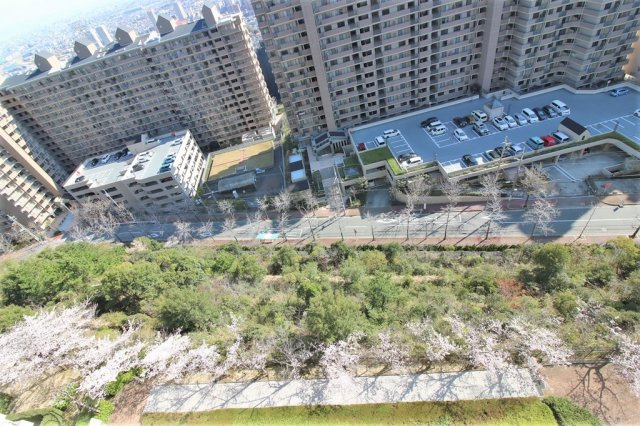 宝塚市すみれガ丘３丁目の中古マンションの外観