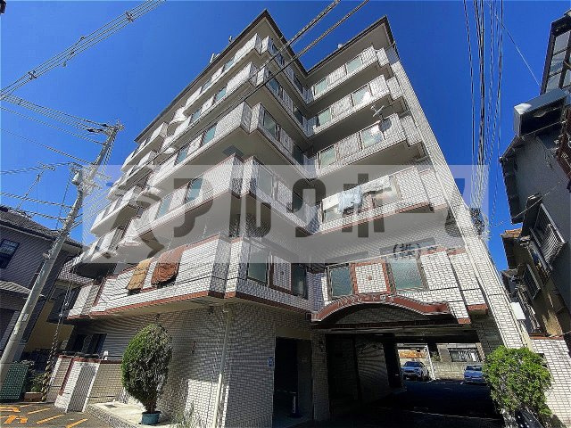 ハイグレード堅下