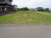 羽鳥2848-21の画像