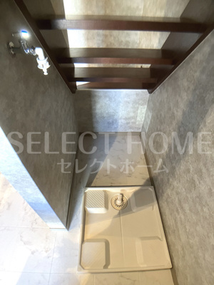 【その他】 | ネイプロシード