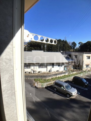 【展望】 | ネイプロシード