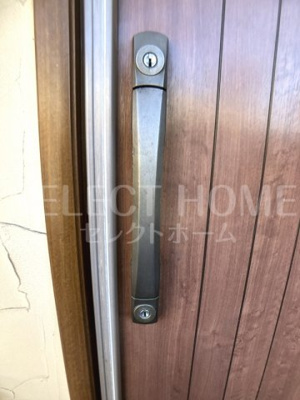  | ネイプロシード