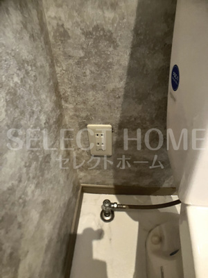  | ネイプロシード